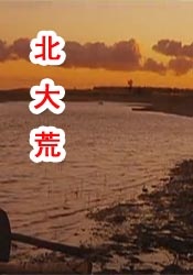 怡红院美国